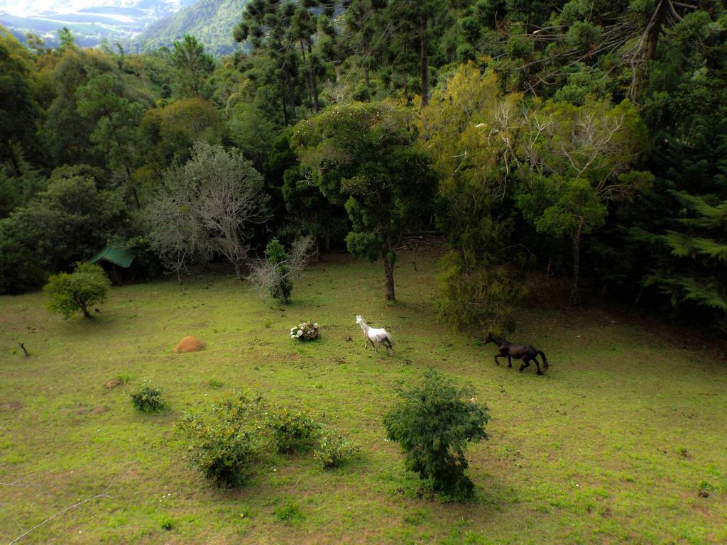 Pousada Marco Polo Campos do Jordao Dış mekan fotoğraf