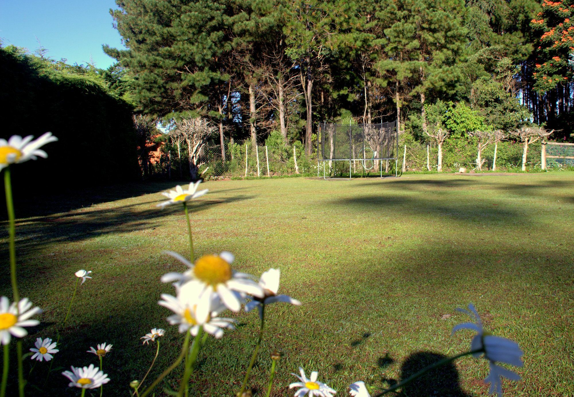 Pousada Marco Polo Campos do Jordao Dış mekan fotoğraf
