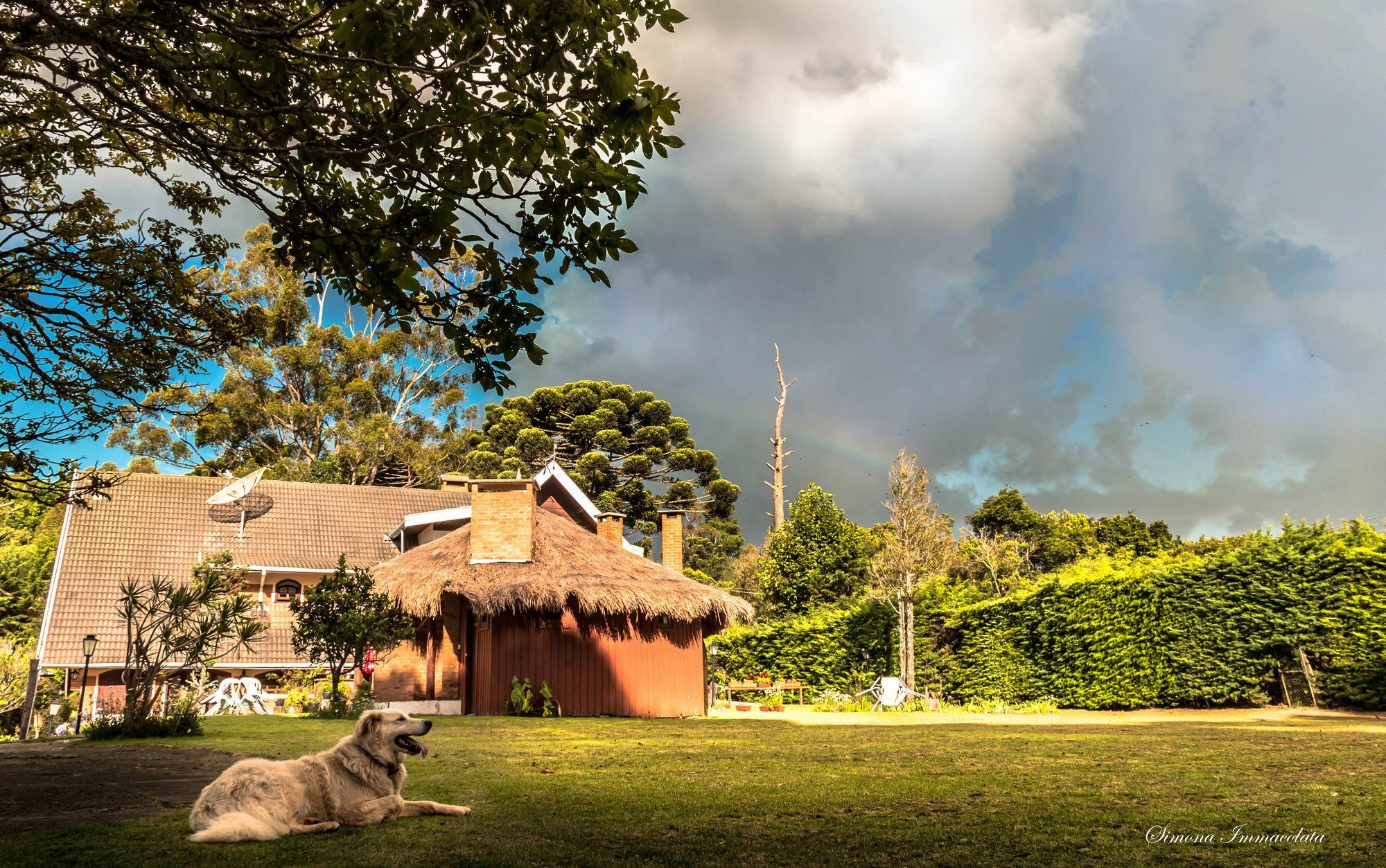 Pousada Marco Polo Campos do Jordao Dış mekan fotoğraf