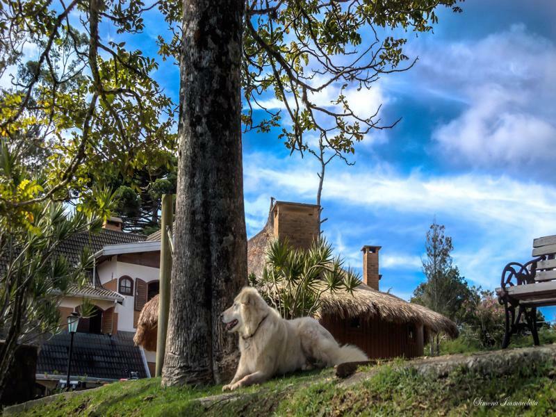 Pousada Marco Polo Campos do Jordao Dış mekan fotoğraf