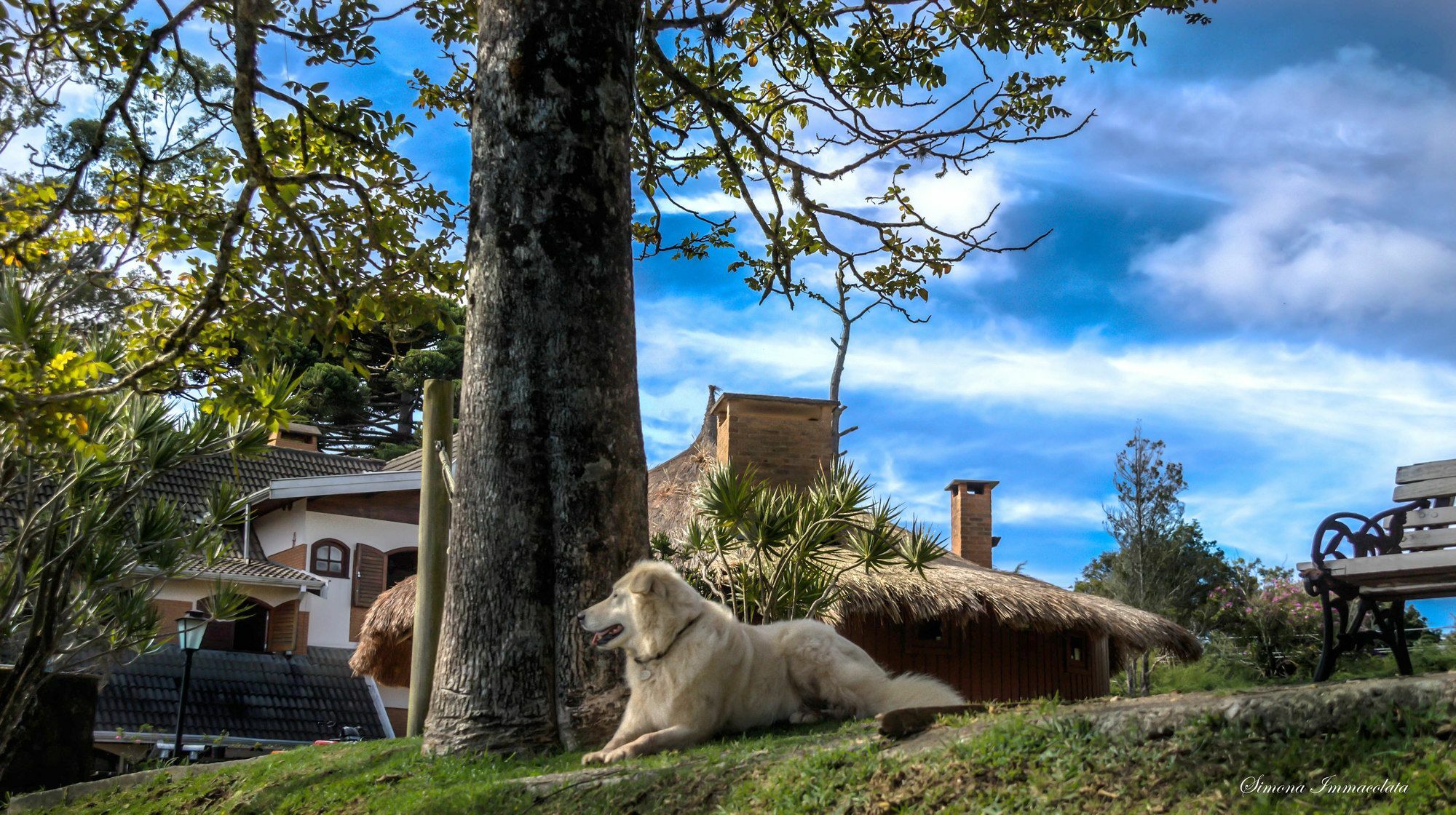 Pousada Marco Polo Campos do Jordao Dış mekan fotoğraf